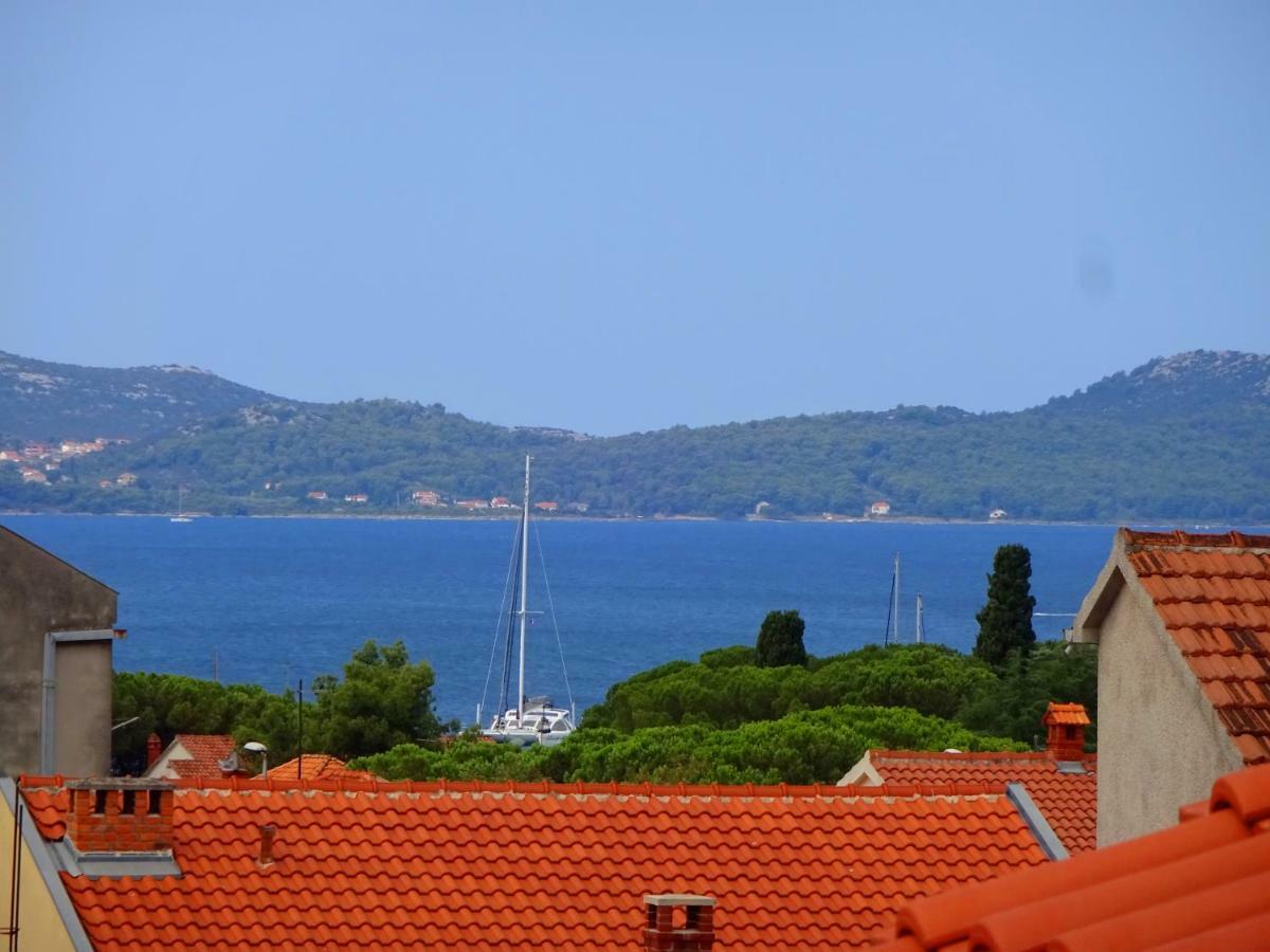 Lily * Zadar